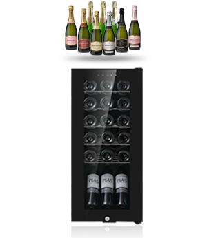 FREE-STANDING-WINE-COOLE